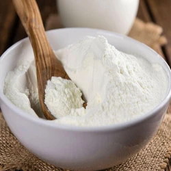 Powder Adhesive Glue