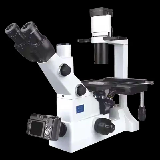 biological-inverted-microscope-1.webp