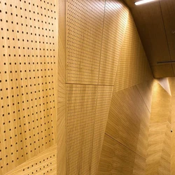Acoustic Perforated Panel