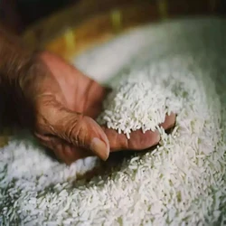 Best Basmati Rice, Suitable for all food, non stickey