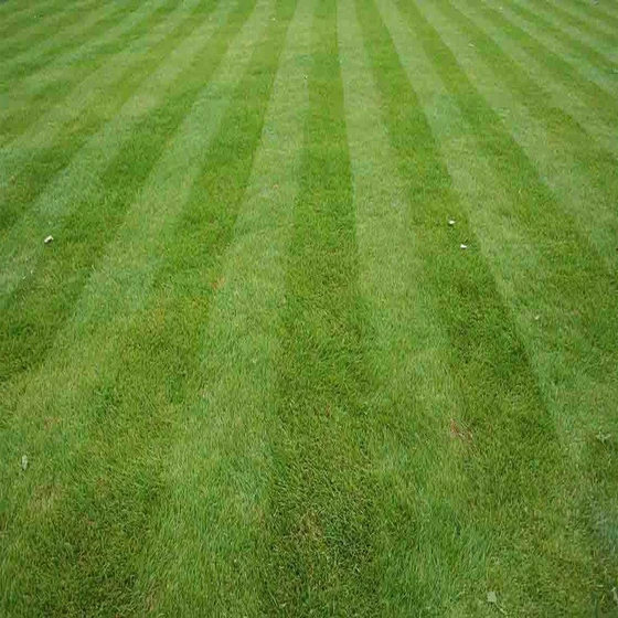 striped-artificial-grass-2.webp