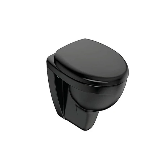 black-toilet-seat-2.webp