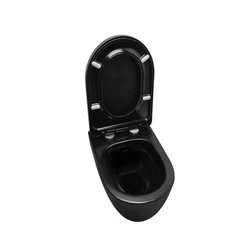 Black Toilet Seat, Bathroom looking sleek and stylish