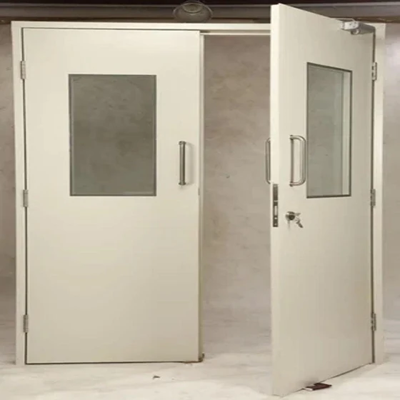 dormify-gi-mild-steel-door-2.webp