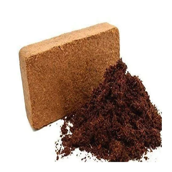 coco-peat-gardening-2.webp