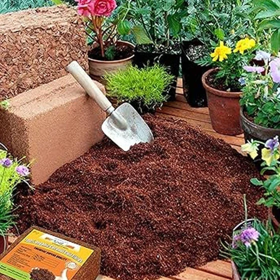 plant-coco-peat-2.webp