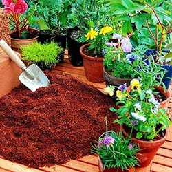 Plant Coco Peat, Lightweight, good water retention
