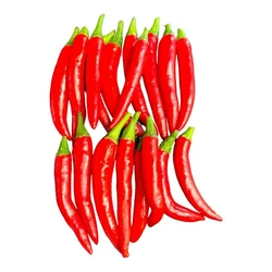 Dark Red Chilli, Best quality, flavors, food use