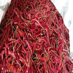 Raw Red Chilli, Flavour, chutney use, best spice