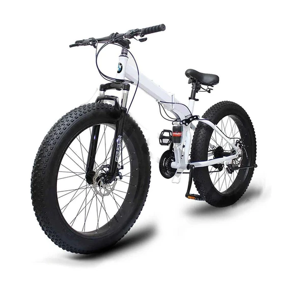 fat-tyre-gear-cycle-2.webp