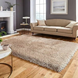 Carpet Flooring Mat Washable Fur Ground Rug