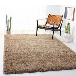 Beige Carpet Living Room, silky texture, smooth
