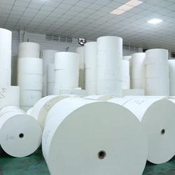 White Jumbo Thermal Paper Roll, 48 to 90 gsm