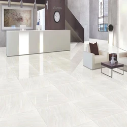 Multicolor Glazed Ceramic Tiles