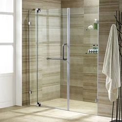 Frameless Glass Shower 