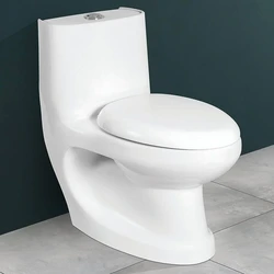 Ceramic Toilet Seat