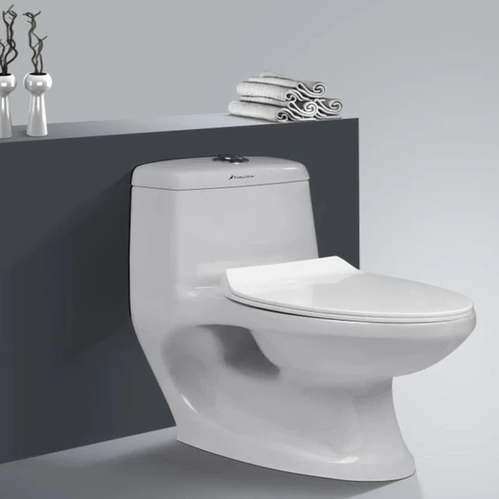 premium-western-toilet-2.webp