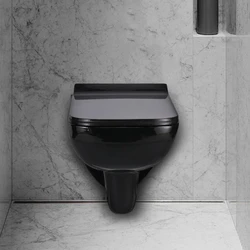 Mounted Western Toilet