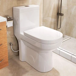 Modern Toilet Seat