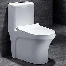 Ceramic Western Toilet Seat