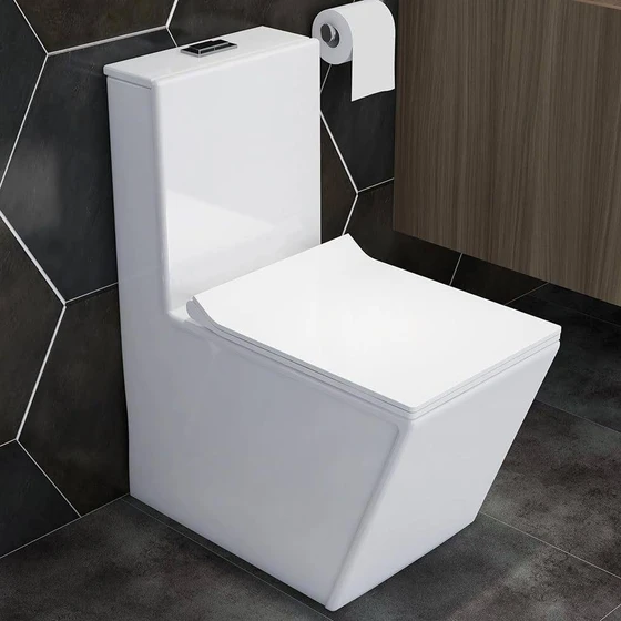 one-piece-water-toilet-2.webp