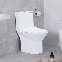 one piece water Toilet
