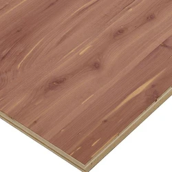 Brown Marine Plywood — Rectangle 8 x 4 feet size