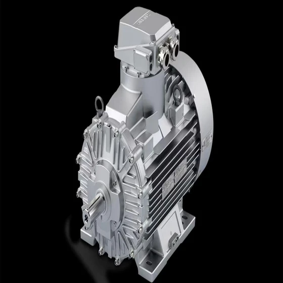 Explosion Proof Motor — Auto reset thermatrip protection