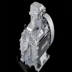 Explosion Proof Motor