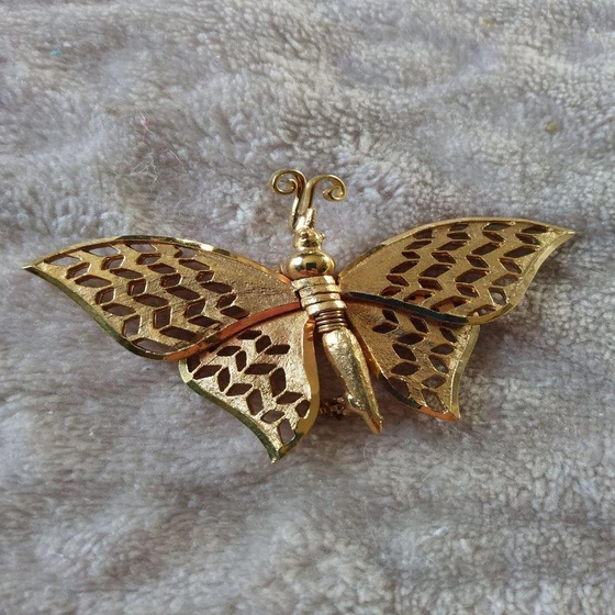 butterfly-brooch-pins-2.webp