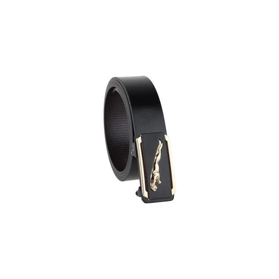 artificial-leather-belt-2.webp