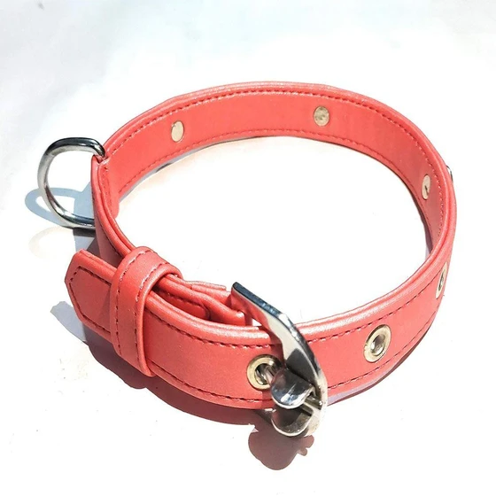 fancy-dog-collar-2.webp