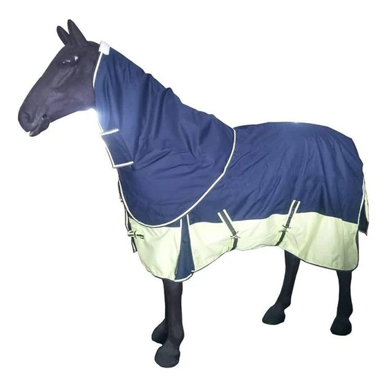 elegant-horse-rugs-2.webp