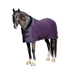 Elegant Horse Rugs