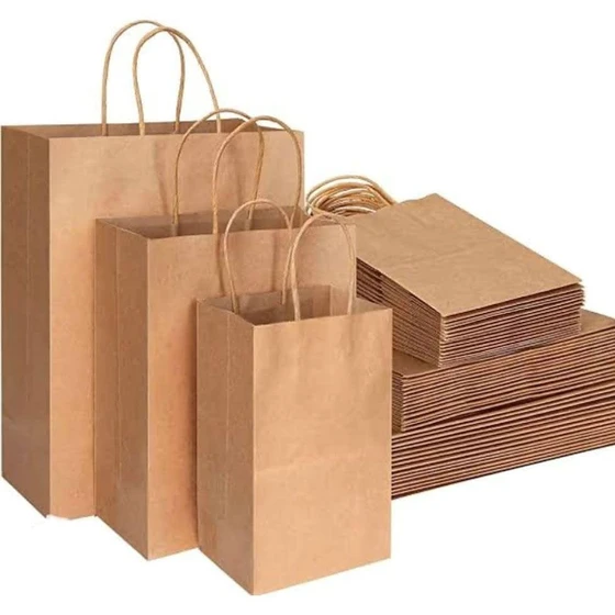 Paper Carry Bags — multiple sizes high quality