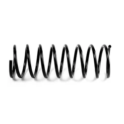 Black Spiral Spring