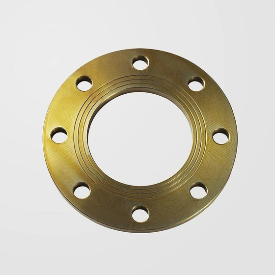 Industrial Ms Flanges — sch10 xxs 2 60mm SGP DIN Thick