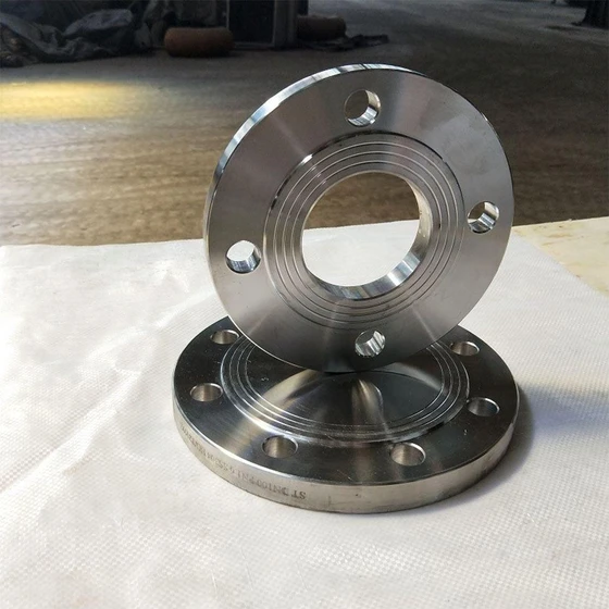 Polished MS Flanges — Industrial Usage Application