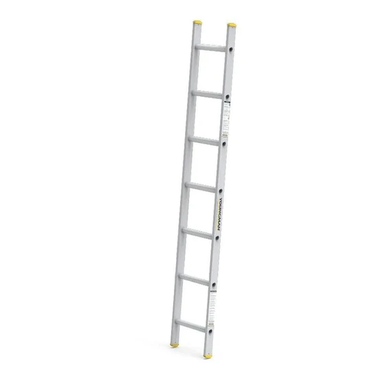 wall-support-ladders-2.webp