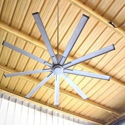 Big Ceiling Fans