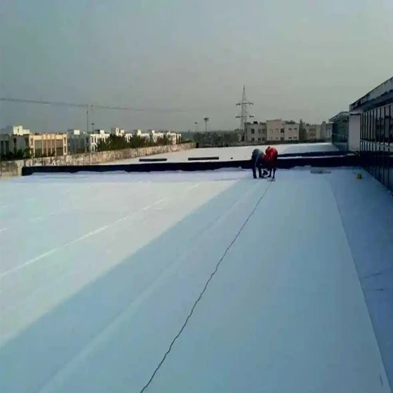 water-proofing-crystalline-service-2.webp