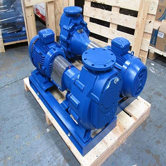 seawater-pumps-2.webp