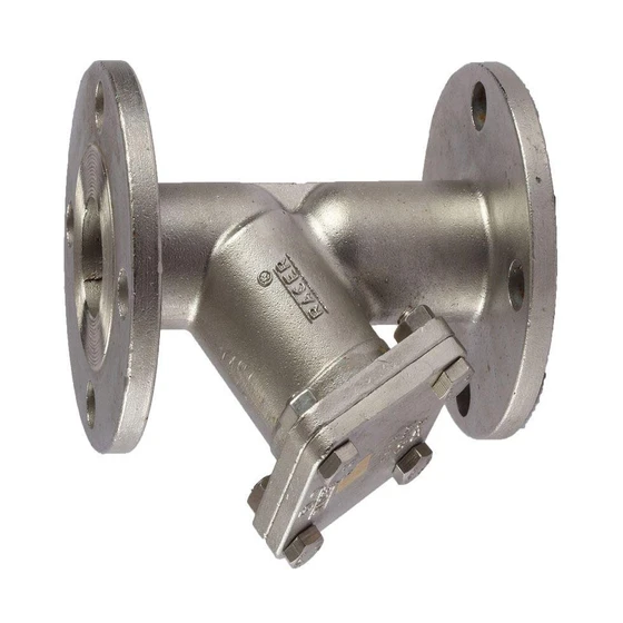 y-type-strainer-flanged-2.webp