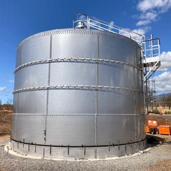 Tanks SS Storage