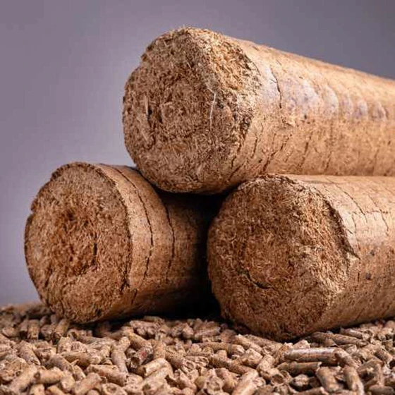 common-biomass-briquette-2.webp