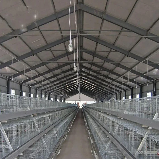 steel-poultry-farm-2.webp