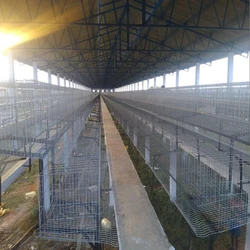 Steel Poultry Farm