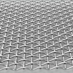 Wire SS Mesh