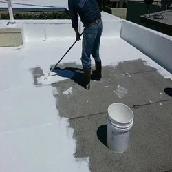 Water Proofing Coating Service