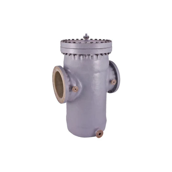frp-basket-strainer-2.webp